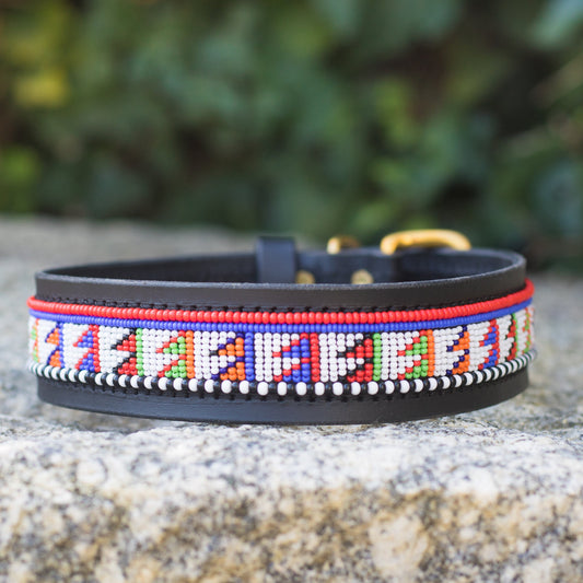 Collier pour chien Massaï "Gold Reef"