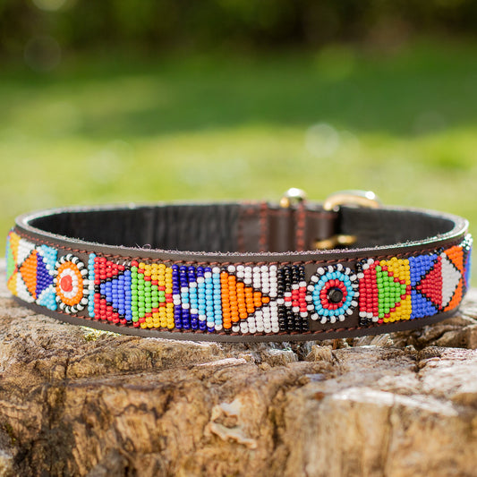Collier pour chien Massaï "Botswana"