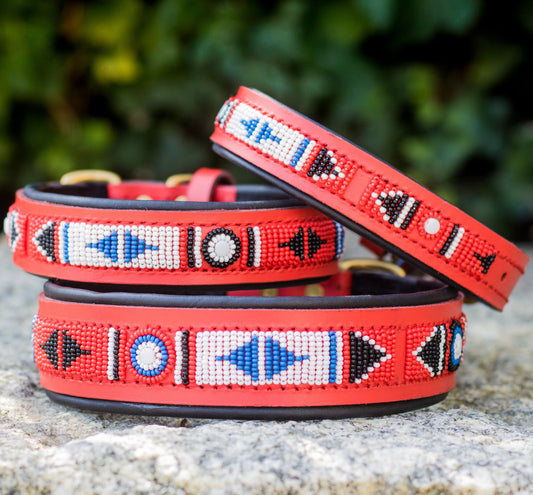 Collier pour chien Massaï Luxe "Yaoundé"