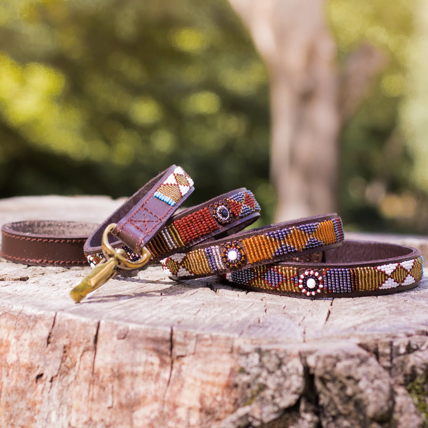 Laisse pour chien Maasaï "Emnambithi"