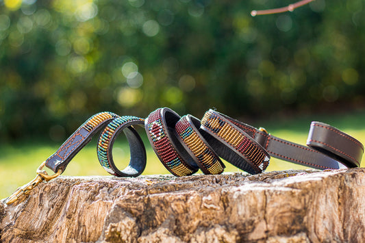 Laisse pour chien Maasaï "Berbere"