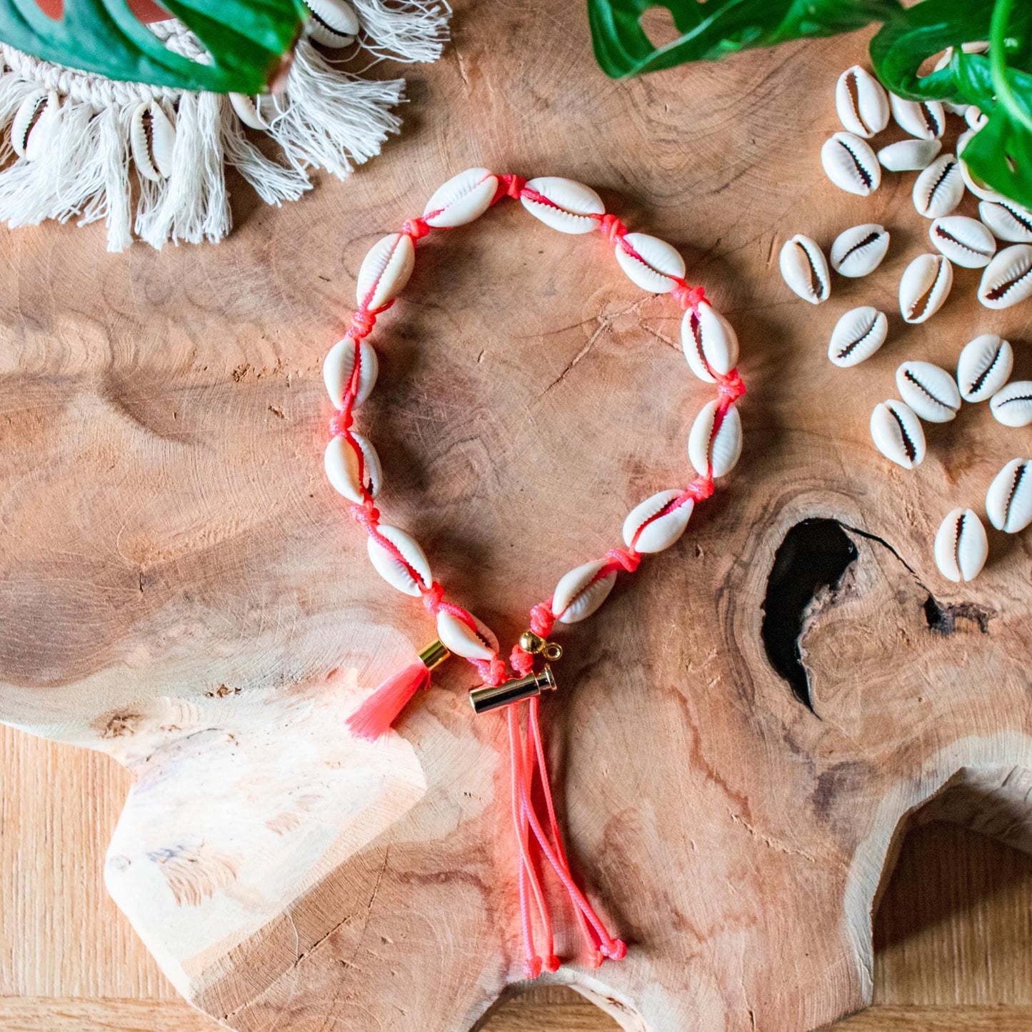 Collier pour chien porte médaille en coquillages "Santa Maria"