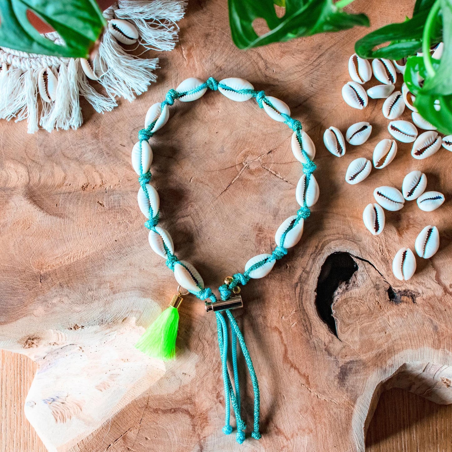 Collier pour chien porte médaille en coquillages "Zanzibar"