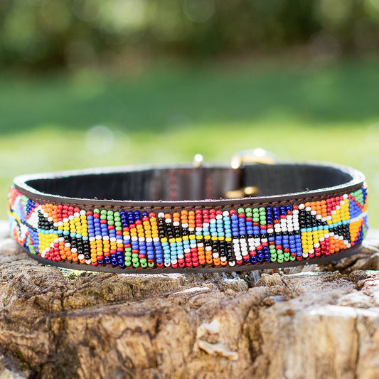 Collier pour chien Massaï "Welkom"