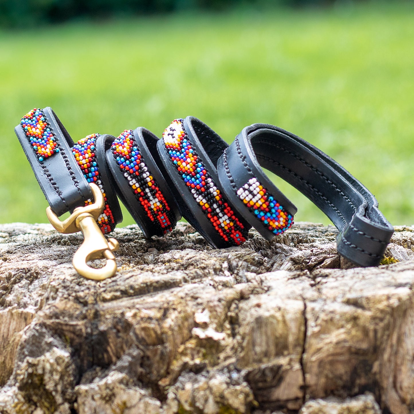 Laisse pour chien Maasaï "Teranga"